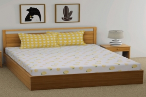 Rented Sofa Online